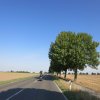 11.US-Car &.Bike Show Grefrath